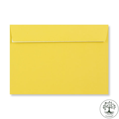 Daffodil Yellow Envelopes by Clariana - Envelope Kings