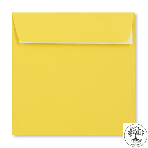 Daffodil Yellow Envelopes by Clariana - Envelope Kings