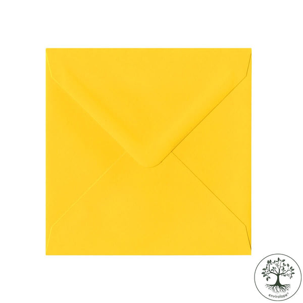 Daffodil Envelopes by Clariana